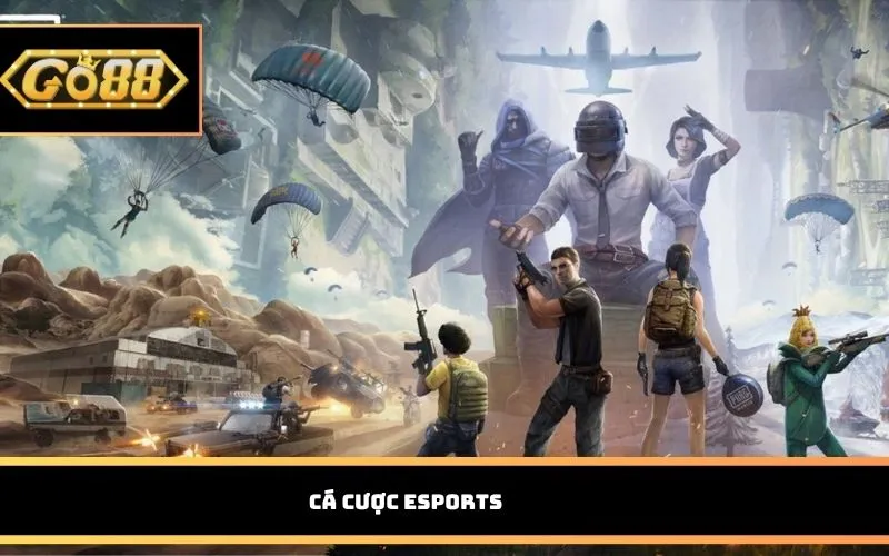 Cá cược eSports 